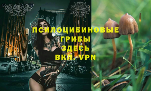 трава Алексин
