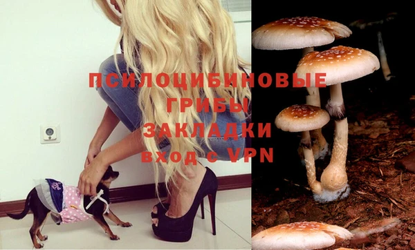 молекула духа Алексеевка