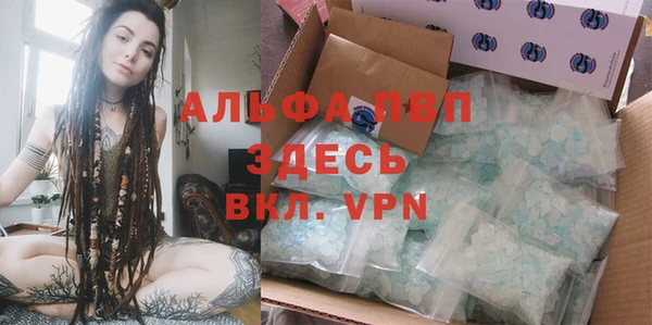 эйфоретик Алзамай