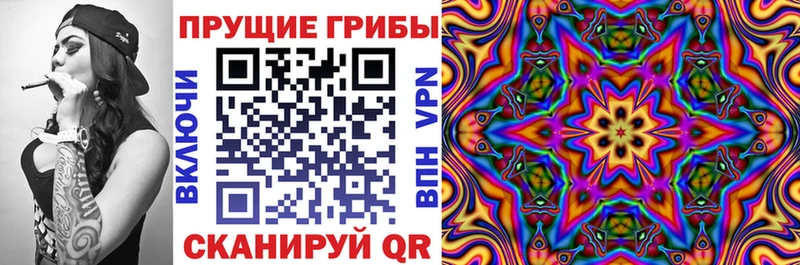 Псилоцибиновые грибы Psilocybe  Шадринск 